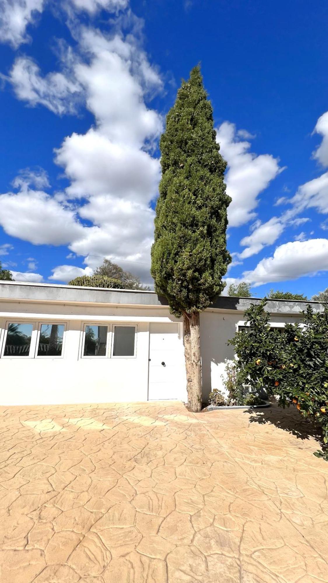 Kiwidestiny Alicante San Juan  Ngoại thất bức ảnh