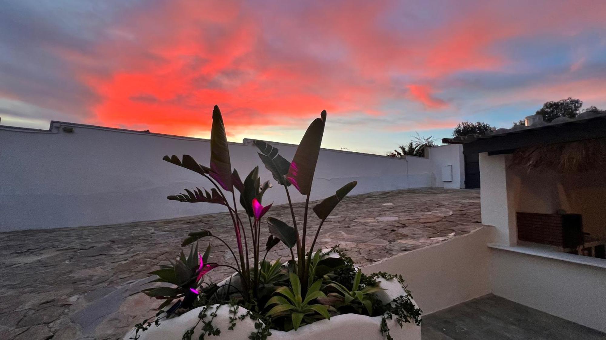 Kiwidestiny Alicante San Juan  Ngoại thất bức ảnh